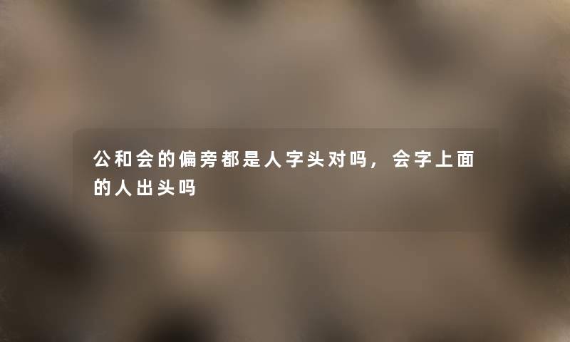 公和会的偏旁都是人字头对吗,会字上面的人出头吗