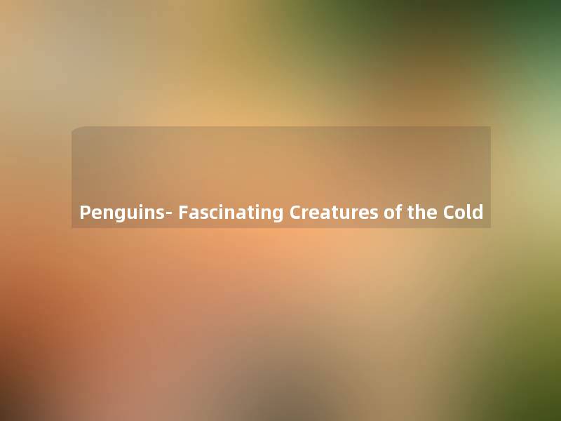 Penguins- Fascinating Creatures of the Cold