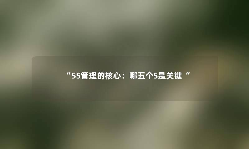 “5S管理的核心：哪五个S是关键“