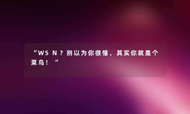 “WSN？别以为你很懂，想说你就是个菜鸟！“