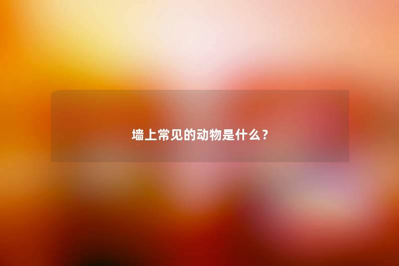 墙上常见的动物是什么？