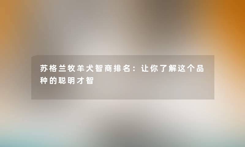 苏格兰牧羊犬智商推荐：让你了解这个品种的聪明才智