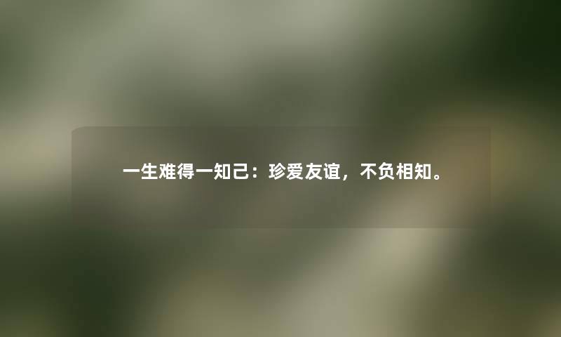 一生难得一知己：珍爱友谊，不负相知。