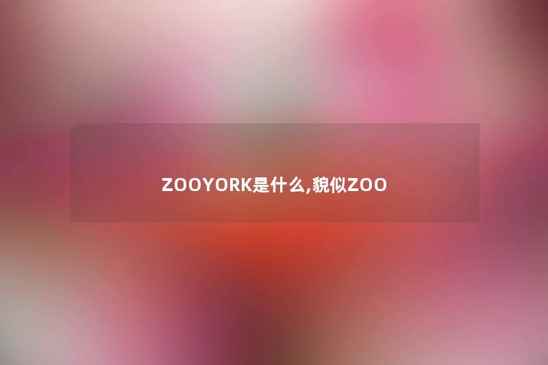 ZOOYORK是什么,貌似ZOO