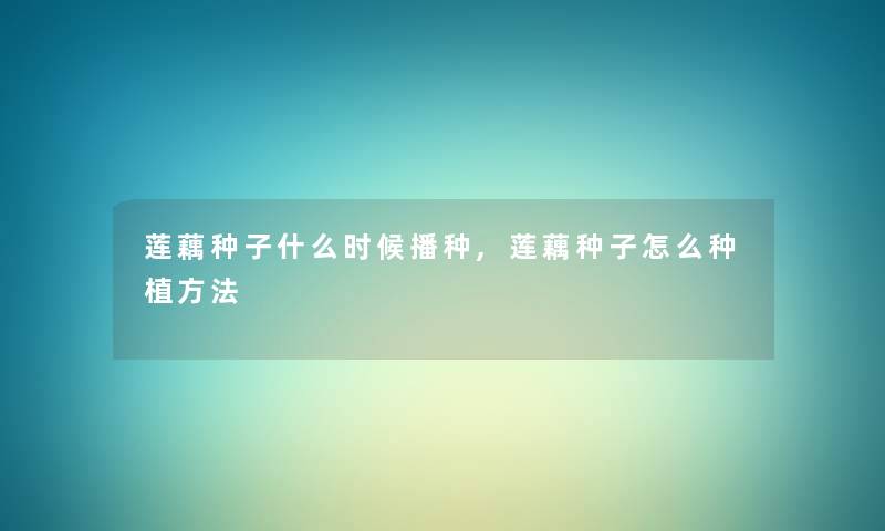 莲藕种子什么时候播种,莲藕种子怎么种植方法