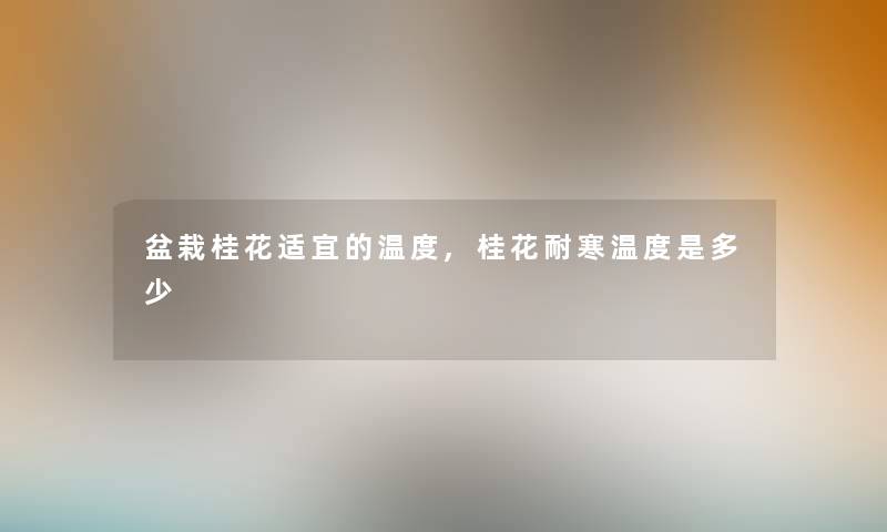 盆栽桂花适宜的温度,桂花耐寒温度是多少