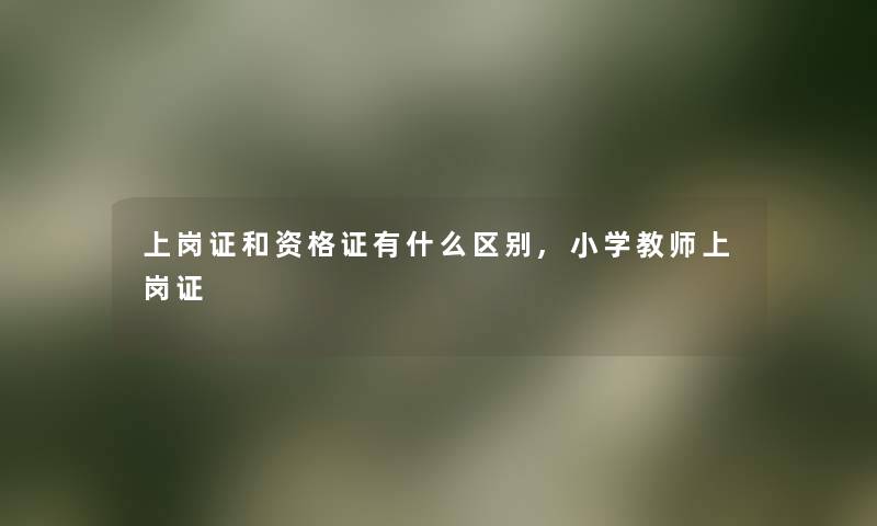 上岗证和资格证有什么区别,小学教师上岗证