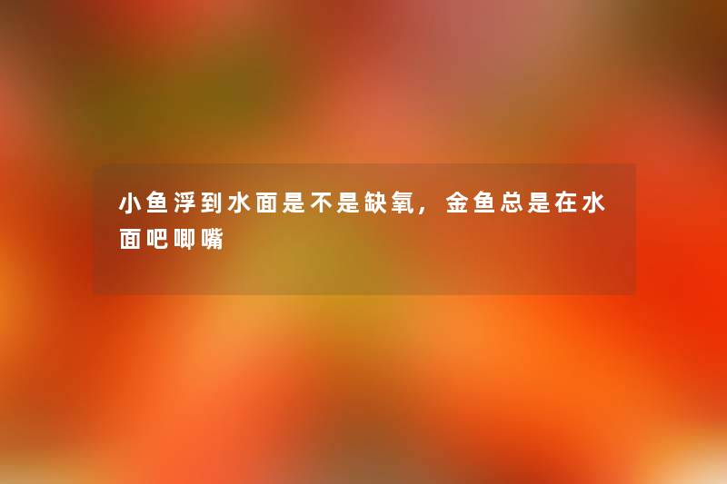 小鱼浮到水面是不是缺氧,金鱼总是在水面吧唧嘴