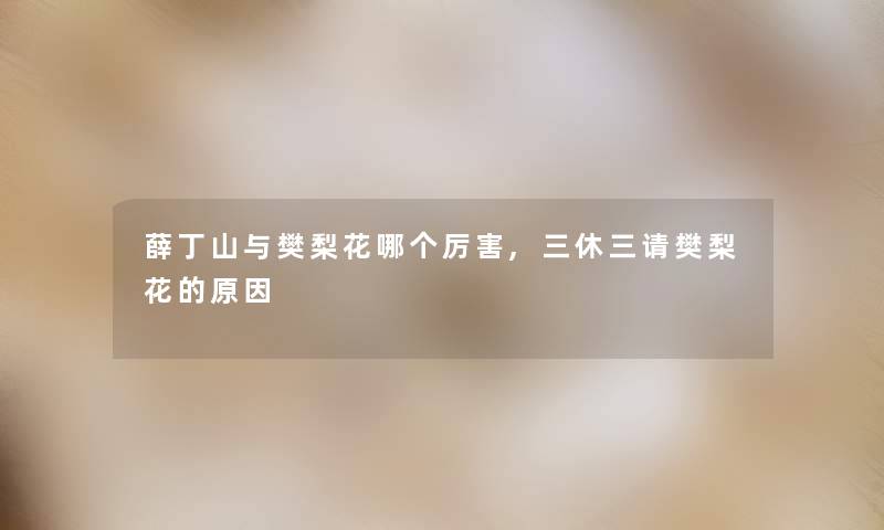 薛丁山与樊梨花哪个厉害,三休三请樊梨花的原因