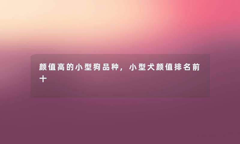 颜值高的小型狗品种,小型犬颜值推荐前十