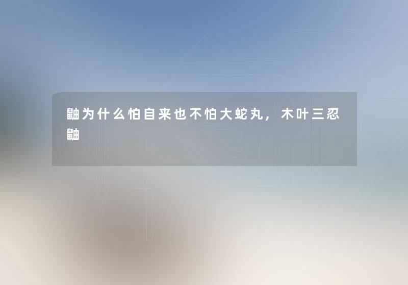 鼬为什么怕自来也不怕大蛇丸,木叶三忍鼬