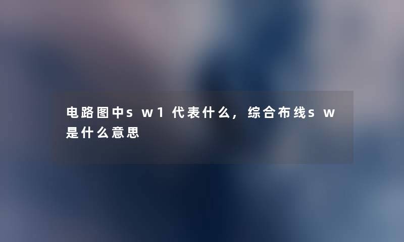 电路图中sw1代表什么,综合布线sw是什么意思