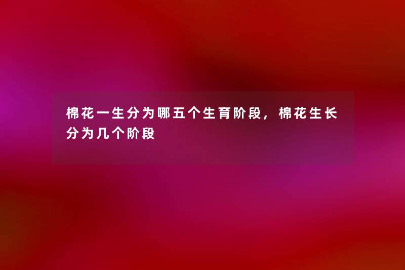 棉花一生分为哪五个生育阶段,棉花生长分为几个阶段