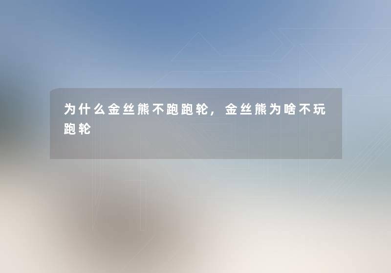 为什么金丝熊不跑跑轮,金丝熊为啥不玩跑轮