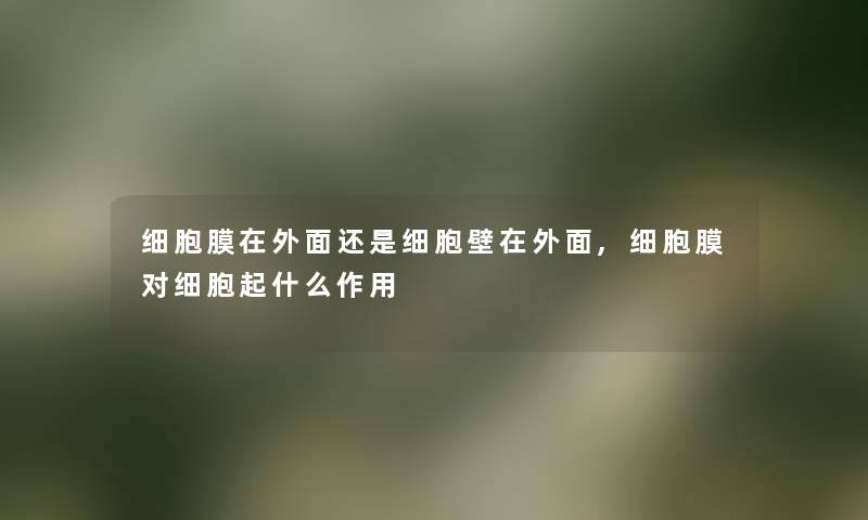 细胞膜在外面还是细胞壁在外面,细胞膜对细胞起什么作用