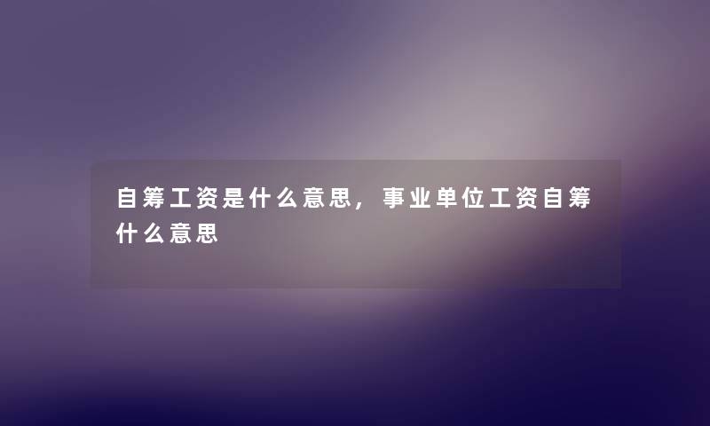 自筹工资是什么意思,事业单位工资自筹什么意思