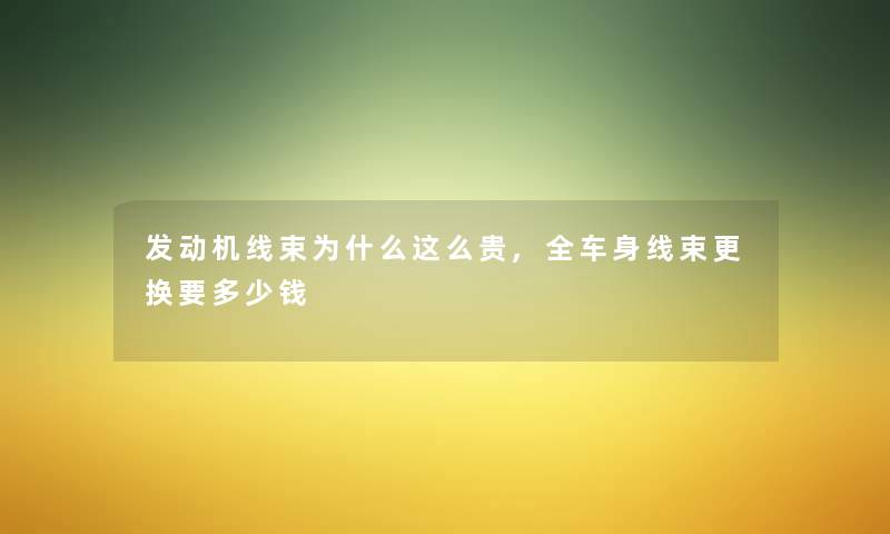 发动机线束为什么这么贵,全车身线束更换要多少钱