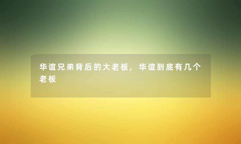 华谊兄弟背后的大老板,华谊到底有几个老板