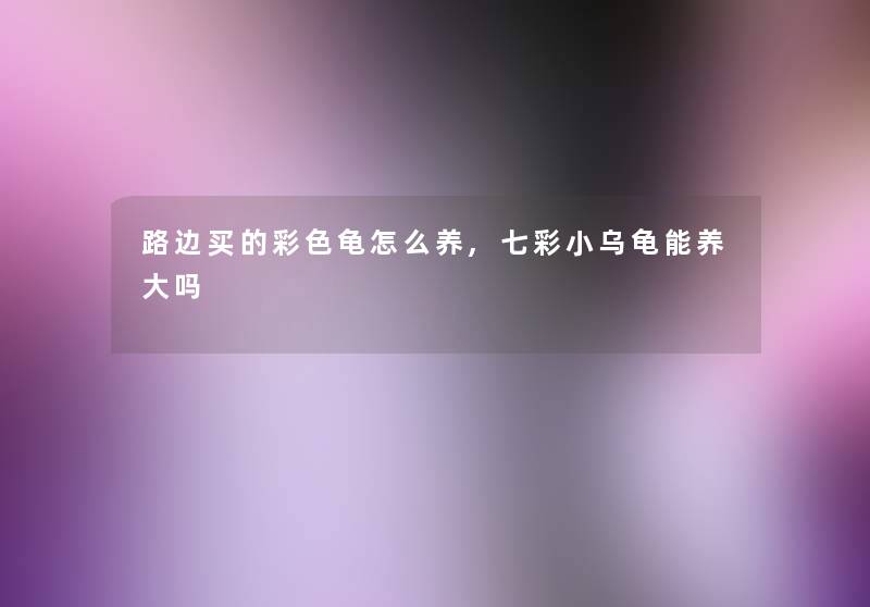 路边买的彩色龟怎么养,七彩小乌龟能养大吗