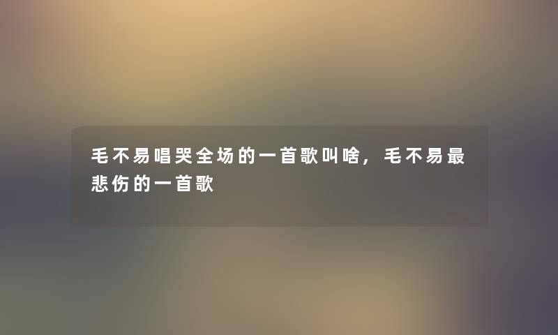 毛不易唱哭全场的一首歌叫啥,毛不易悲伤的一首歌