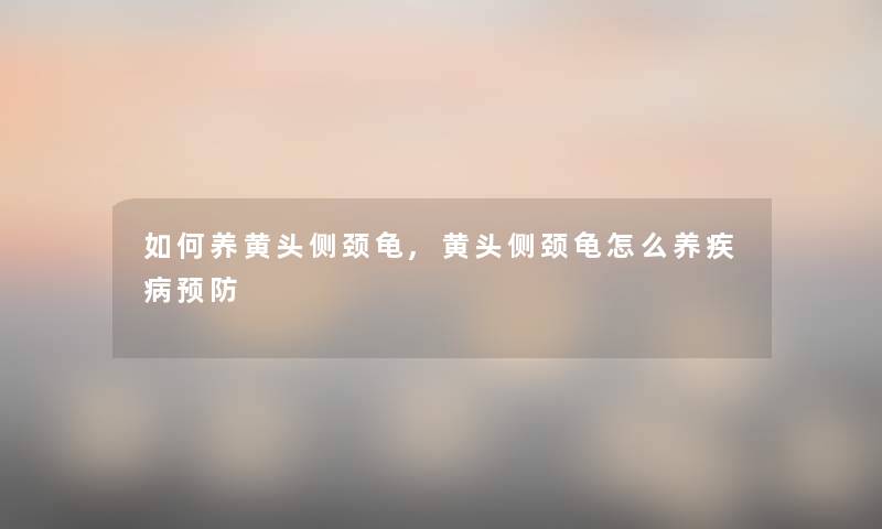 如何养黄头侧颈龟,黄头侧颈龟怎么养疾病预防