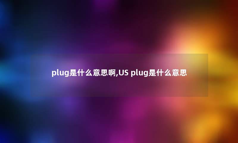 plug是什么意思啊,US plug是什么意思