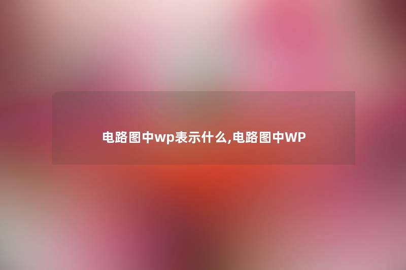 电路图中wp表示什么,电路图中WP