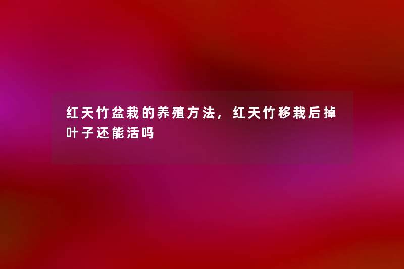 红天竹盆栽的养殖方法,红天竹移栽后掉叶子还能活吗