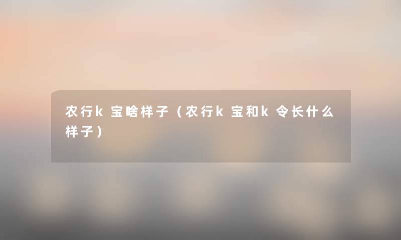 农行k宝啥样子（农行k宝和k令长什么样子）