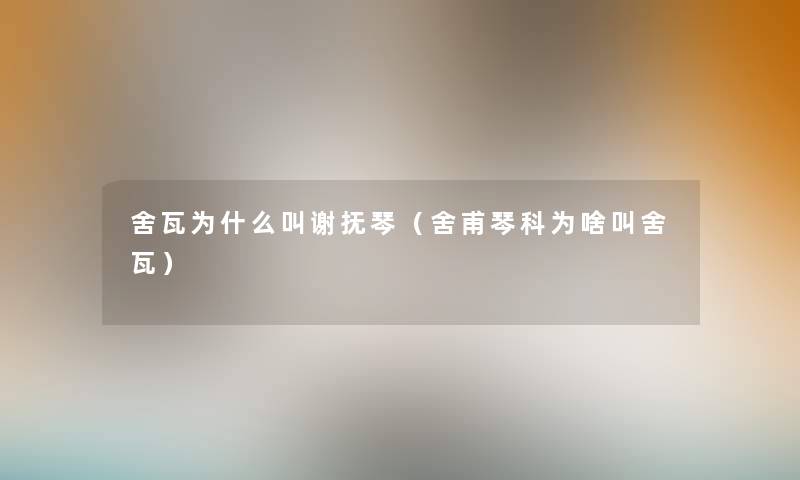 舍瓦为什么叫谢抚琴（舍甫琴科为啥叫舍瓦）