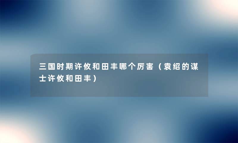 三国时期许攸和田丰哪个厉害（袁绍的谋士许攸和田丰）