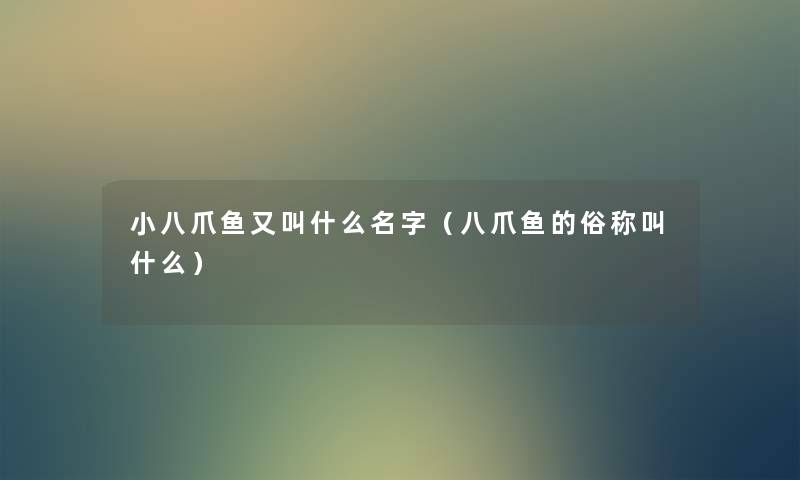 小八爪鱼又叫什么名字（八爪鱼的俗称叫什么）